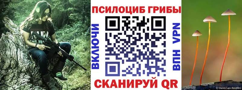 Псилоцибиновые грибы MAGIC MUSHROOMS  Ивдель 