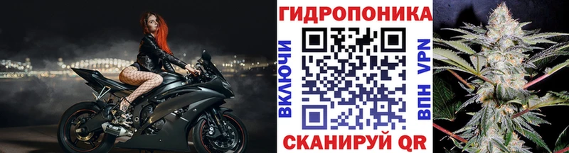 сайты даркнета какой сайт  где купить наркоту  Ивдель  Бошки марихуана индика 
